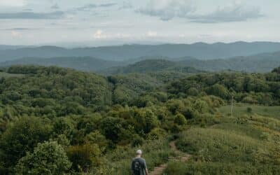 Where I was and where I went