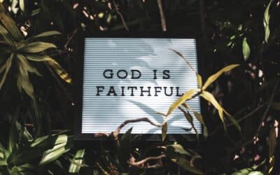 Position in Adam, Position in Christ